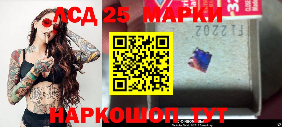 Тара  LSD-25 экстази кислота  Лсд 25 экстази кислота  Вход с VPN 