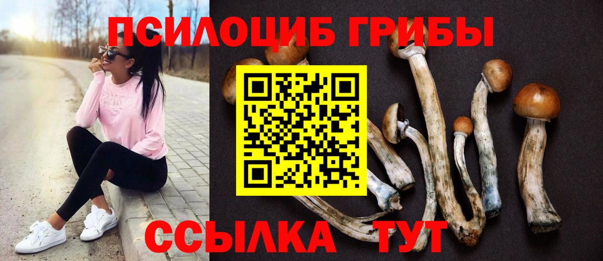 Псилоцибиновые грибы прущие грибы  Вход с VPN  Тара 