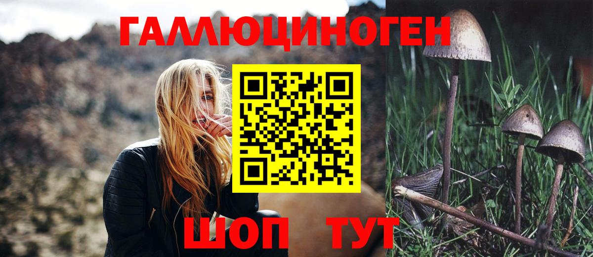 Псилоцибиновые грибы Magic Shrooms Тара